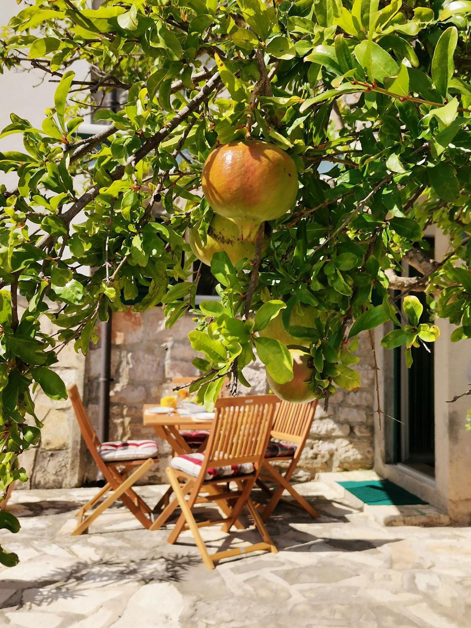 Charming Traditional Townhouse - Holiday Home Kata Jezera Kültér fotó